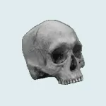 Objects GIF 04, Digital Image, RSCH, 2013.gif