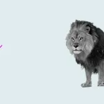 Objects GIF 05, Digital Image, RSCH, 2013.gif